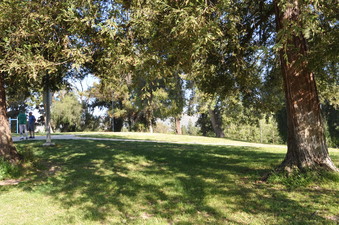 Enlarge photo 36