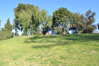 Enlarge photo 39