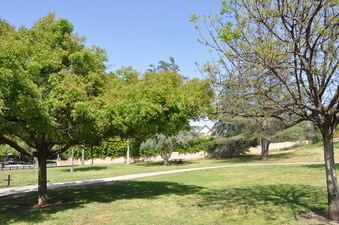 Enlarge photo 3