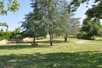 Enlarge photo 4