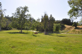 Enlarge photo 7