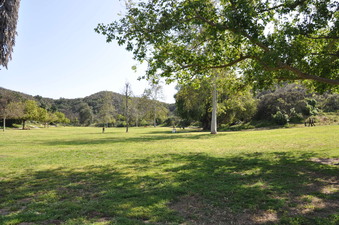 Enlarge photo 10