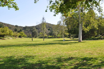 Enlarge photo 11