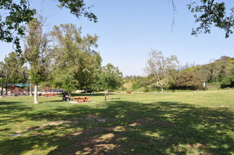Enlarge photo 13
