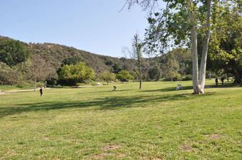 Enlarge photo 14