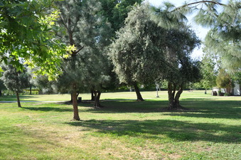 Enlarge photo 7