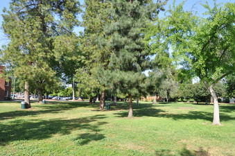 Enlarge photo 9