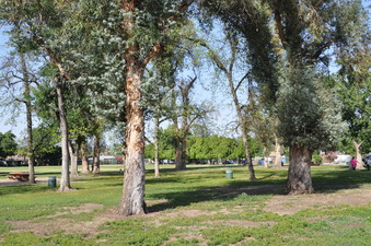 Enlarge photo 14