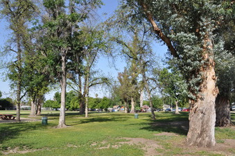 Enlarge photo 15