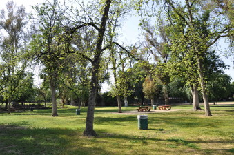 Enlarge photo 17