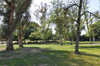Enlarge photo 18