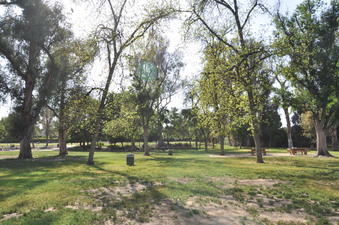 Enlarge photo 20