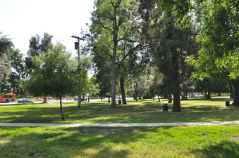 Enlarge photo 22