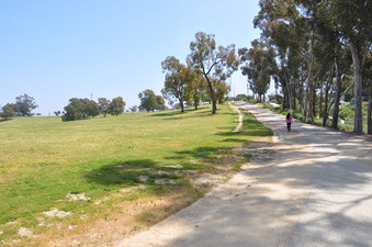 Enlarge photo 13