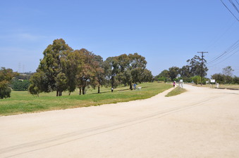Enlarge photo 16