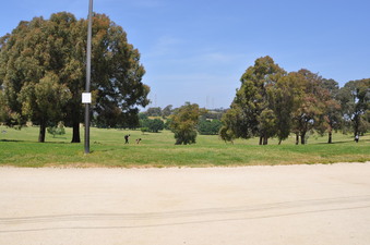 Enlarge photo 17