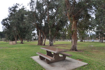 Enlarge photo 8