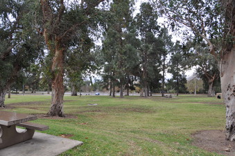 Enlarge photo 9