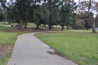 Enlarge photo 13
