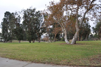 Enlarge photo 17