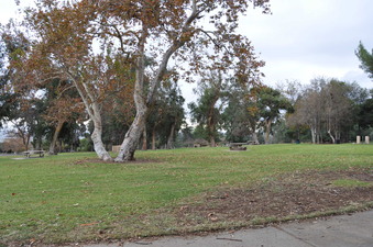 Enlarge photo 18