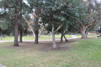 Enlarge photo 22