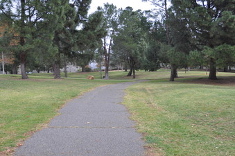 Enlarge photo 23