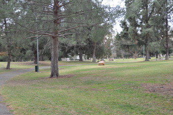 Enlarge photo 27