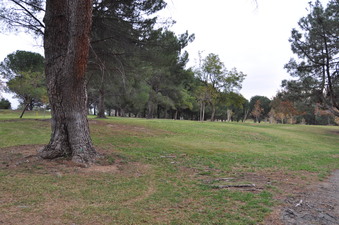 Enlarge photo 28