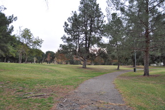 Enlarge photo 29