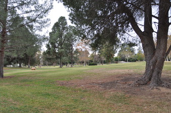 Enlarge photo 31