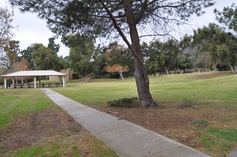 Enlarge photo 32
