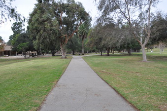 Enlarge photo 35