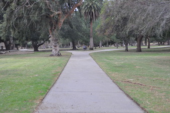 Enlarge photo 36
