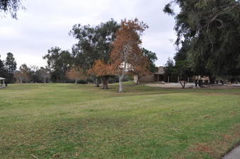 Enlarge photo 37