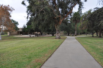 Enlarge photo 38