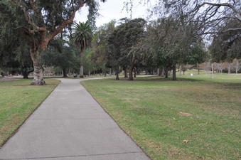 Enlarge photo 39