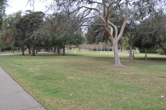 Enlarge photo 40