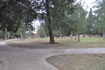 Enlarge photo 42