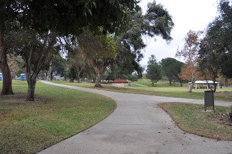 Enlarge photo 43