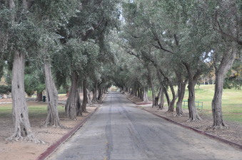 Enlarge photo 44