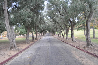 Enlarge photo 45