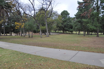Enlarge photo 49