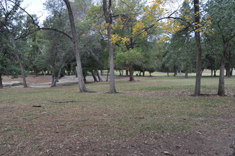 Enlarge photo 52