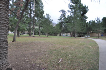 Enlarge photo 53