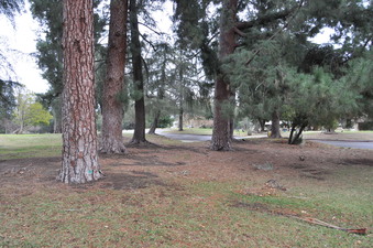 Enlarge photo 54