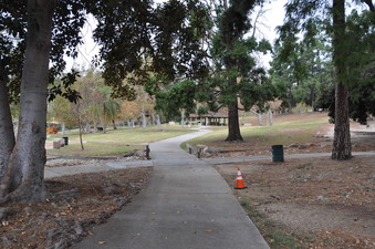 Enlarge photo 55