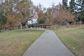 Enlarge photo 57