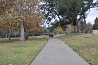 Enlarge photo 58