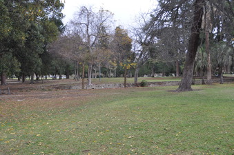 Enlarge photo 60